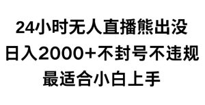 快手24小时无人直播熊出没，不封直播间，不违规，日入2000+，最适合小白上手，保姆式教学【揭秘】-创业资源网
