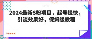 2024最新S粉项目,起号极快,引流效果好,保姆级教程-创业资源网