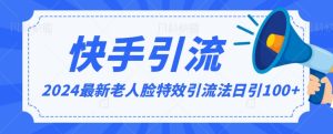 2024全网最新讲解老人脸特效引流方法,日引流100+,制作简单,保姆级教程【揭秘】-创业资源网