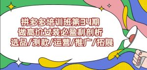 拼多多培训班第34期:做高价女装必盈利剖析选品/测款/运营/推广/拓展-创业资源网