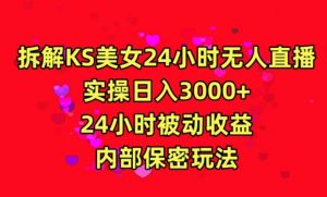 利用快手24小时无人美女直播，实操日入3000，24小时被动收益，内部保密玩法【揭秘】-创业资源网