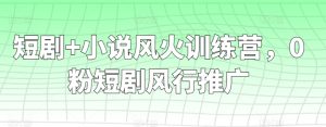 短剧+小说风火训练营，0粉短剧风行推广-创业资源网