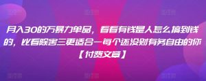 月入30的万暴力单品,看看有钱是人怎么搞到钱的,比看除害三更适合一每个还没财有务自由的你【付费文章】-创业资源网