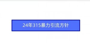 24年315暴力引流方针-创业资源网