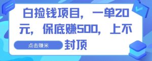白捡钱项目，一单20元，保底赚500，上不封顶-创业资源网