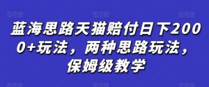 蓝海思路天猫赔付日下2000+玩法,两种思路玩法,保姆级教学【仅揭秘】-创业资源网