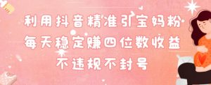 抖音精准引流宝妈粉每天变现四位数利润不违规不封号-创业资源网