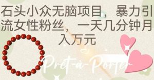 石头小众无脑项目,暴力引流女性粉丝,一天几分钟月入万元-创业资源网