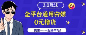 外面收费2980的全平台通用白嫖撸货项目2.0玩法【仅揭秘】-创业资源网