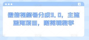 微信视频号分成3.0,主流蓝海项目,附剪辑教学-创业资源网
