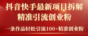 2024年抖音快手最新项目拆解视频引流创业粉,一天轻松引流精准创业粉100+-创业资源网