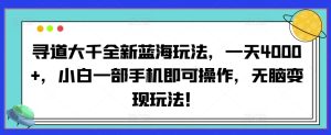 寻道大千全新蓝海玩法，一天4000+，小白一部手机即可操作，无脑变现玩法！-创业资源网