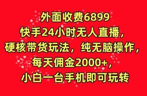外面收费6899的快手24小时无人直播,硬核带货玩法,纯无脑操作-创业资源网