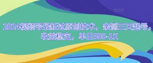 2024视频号最新过原创技术,亲测三天起号,收益稳定,单日500-1K-创业资源网