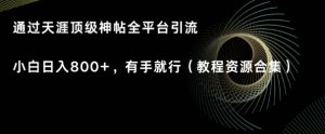 天涯顶级神帖项目，全平台引流小白日入800+，有手就行(内含教程资源合集)-创业资源网