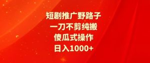 短剧推广野路子，一刀不剪纯搬运，傻瓜式操作，日入1000+-创业资源网