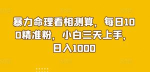暴力命理看相测算,每日100精准粉,小白三天上手,日入1000-创业资源网