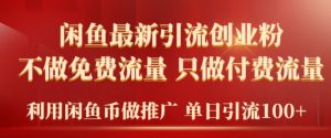 2024年闲鱼币推广引流创业粉,不做免费流量,只做付费流量,单日引流100+-创业资源网