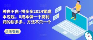 拼多多2024零成本包起,0成本做一个高利润的拼多多,方法不只一个-创业资源网