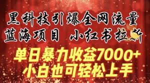 蓝海项目!黑科技引爆全网流量小红书拉新,单日暴力收益7000+,小白也能轻松上手【揭秘】-创业资源网