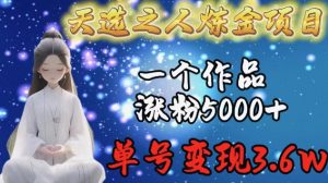 天选之人炼金项目,一个作品涨粉5000+,单号变现3.6w【揭秘】-创业资源网
