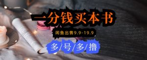 每天花1分钱买一本书，闲鱼出售9.9-19.9不等，多账号多撸，新手小白均可操作-创业资源网