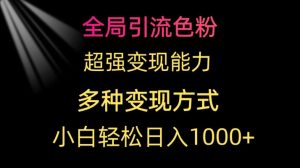 全局引流色粉，超强变现能力，多种变现方式，小白轻松日入1000+-创业资源网