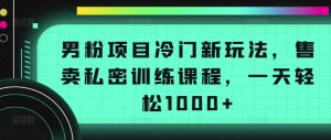 男粉项目冷门新玩法，售卖私密训练课程，一天轻松1000+【揭秘】-创业资源网