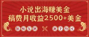 小说出海赚美金，稿费月收益2500+美金，仅需chatgpt粘贴复制，新手也能玩转【揭秘】-创业资源网
