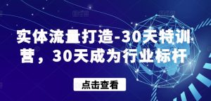 实体流量打造-30天特训营,30天成为行业标杆-创业资源网