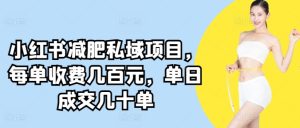 小红书减肥私域项目，每单收费几百元，单日成交几十单-创业资源网