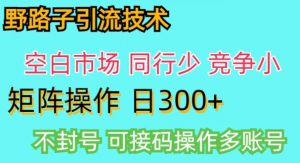 拼多多野路子引流创业粉实战教学,手动操作,用户转化率高-创业资源网
