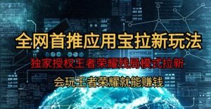 【全网首发】腾讯应用宝王者荣耀残局模式拉新赛道,轻松日如1000+-创业资源网