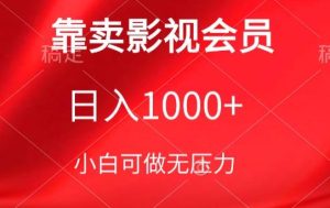靠卖影视会员,日入1000+,落地保姆级教程,新手可学【揭秘】-创业资源网