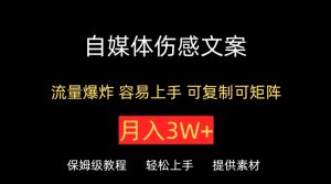 自媒体伤感文案,流量爆炸,容易上手,可复制可矩阵,月入3W+-创业资源网