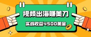 国内爆款视频出海赚美刀,实战收益4500美金,批量无脑搬运,无需经验直接上手-创业资源网