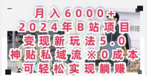 月入6000+,2024年B站项目变现新玩法5.0.神贴私域流0成本,可轻松实现躺赚-创业资源网