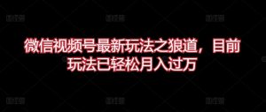 微信视频号最新玩法之狼道,目前玩法已轻松月入过万【揭秘】-创业资源网