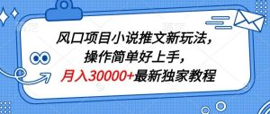 风口项目小说推文新玩法,操作简单好上手,月入30000+最新独家教程-创业资源网