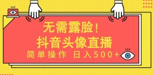 无需露脸，Ai头像直播项目，简单操作日入500+【揭秘】-创业资源网