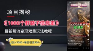 一千个野路子信息差最新玩法教程-变现+引流的玩法具体拆解【揭秘】-创业资源网