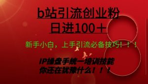 日引创业粉 100+ b 站全套打法【实操视频】-创业资源网