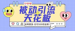全网首发被动引流天花板 日引500+创业粉-创业资源网