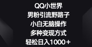 QQ小世界男粉引流野路子,小白无脑操作,多种变现方式轻松日入1000+-创业资源网