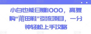 小白也能日赚1000,高复购“莆田鞋”引流项目,一分钟轻松上手攻略-创业资源网