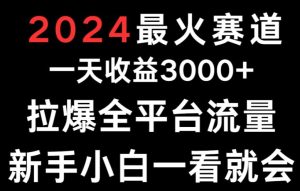 2024最火赛道一天收益3000+拉爆全平台流量新手小白一看就会-创业资源网
