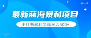 最新暴利蓝海项目，小红书图文变现，轻松实现日收益500+-创业资源网