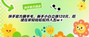 快手官方薅羊毛新手小白立得120元,后续在家轻轻松松5w-创业资源网