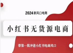 2024新风口电商,小红书无货源电商,带第一批冲进小红书电商风口-创业资源网