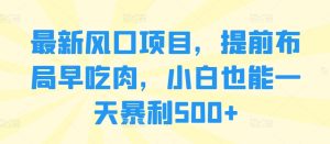 全新蓝海项目,抢占先机早吃荤,新手也可以一天爆利500-创业资源网